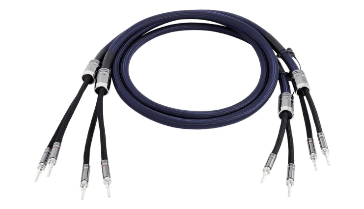 Cavi Atlas e1693553696970