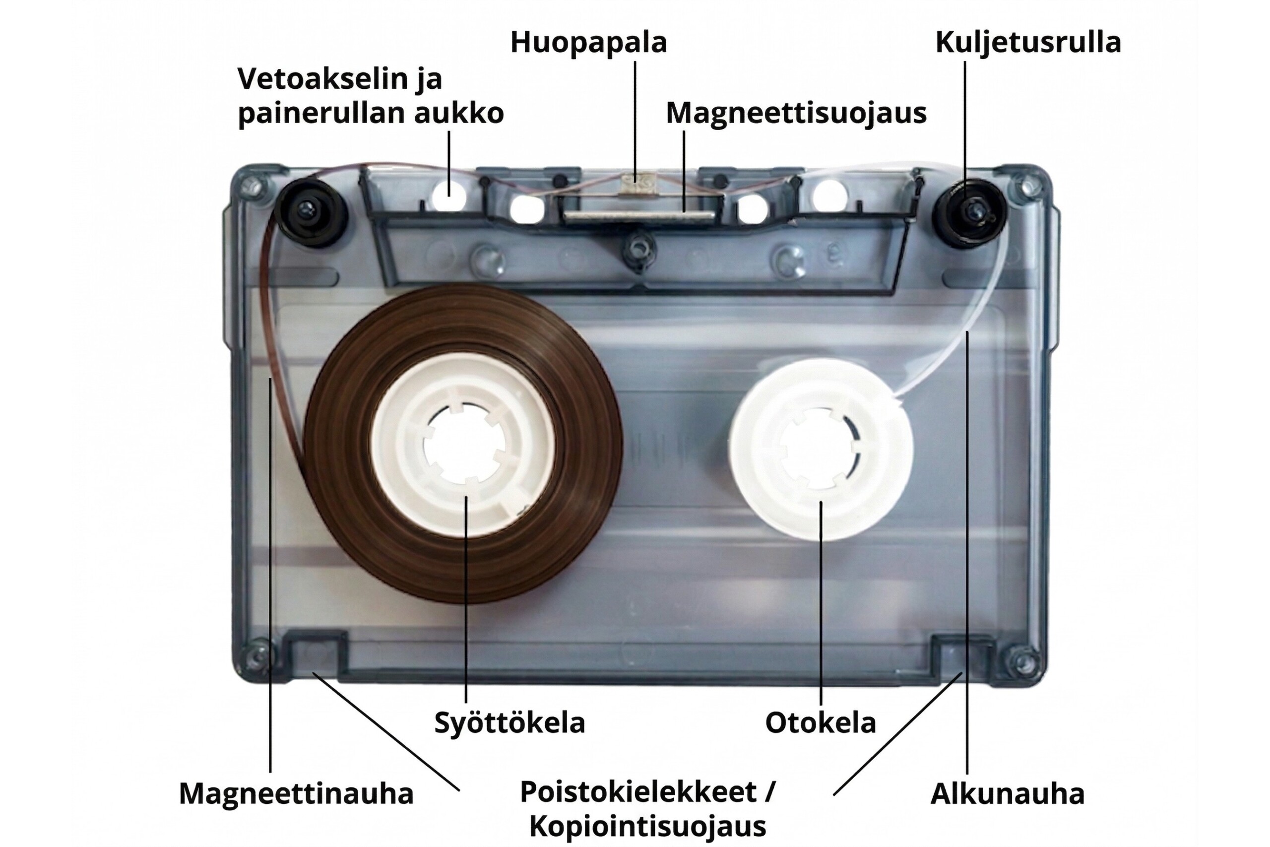 C kasetin rakenne scaled