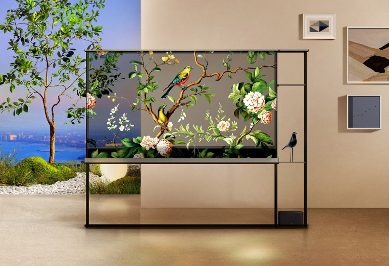LG OLED T