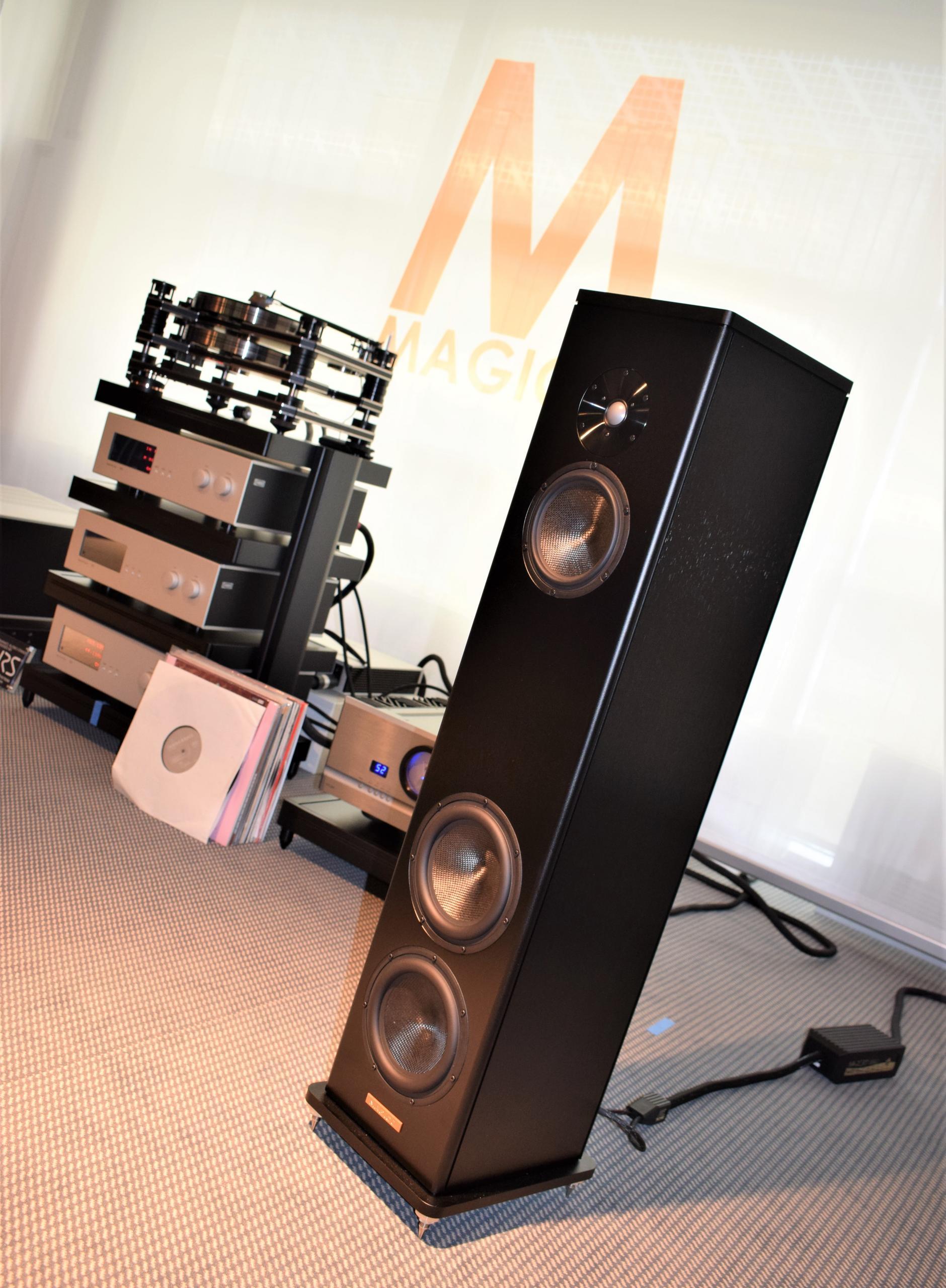 Magico DSC 1306