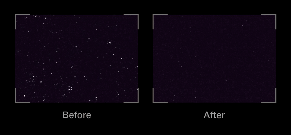 before after