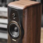 sonus faber maxima amator clos